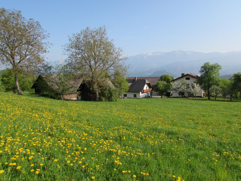Ferienhof Breitenbaumer Spital Am Pyhrn Exteriör bild