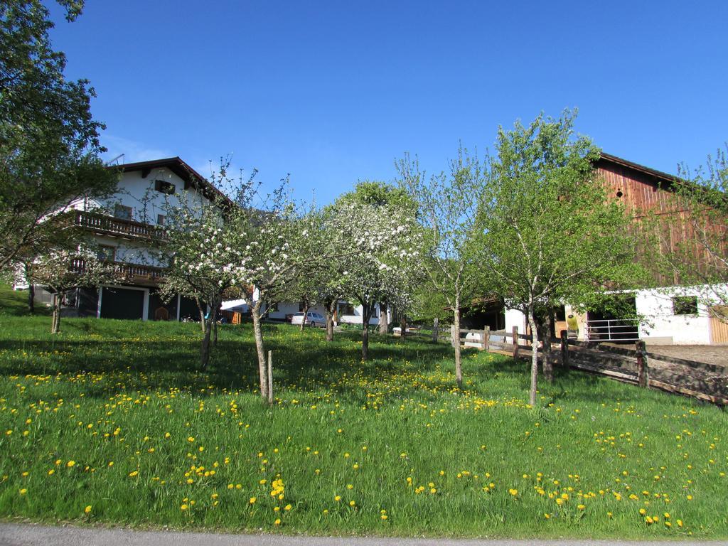 Ferienhof Breitenbaumer Spital Am Pyhrn Exteriör bild